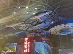-烟台海昌鲸鲨海洋公园