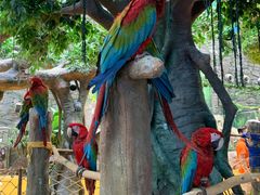 -呼吸森林·生态农庄农家乐私房菜