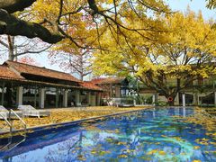 -喜洲吧·江畔老船厂·庭院餐厅(喜临院店)