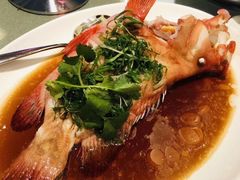 清蒸斑鱼-金悦轩海鲜酒家(银河店)