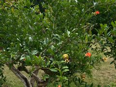 -汉长安城未央宫国家考古遗址公园