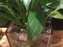 -猫的天空之城概念书店(杭州南宋御街店)