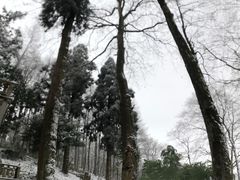 -莫干山风景区