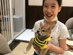 -逗柴咖啡屋·狗咖猫咖宠物桌游