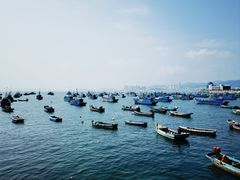 -海源公园