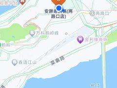 -安胖老火锅(两路口店)