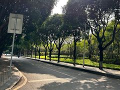 -白鹭洲公园