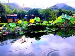 -斐文野奢酒店·私房菜·轻吧