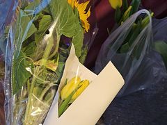 -三圣花乡旅游区