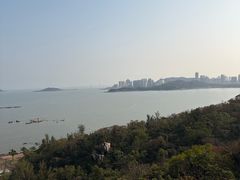 -野狸岛