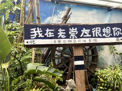 -老崇左特色风味食馆