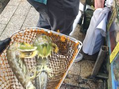 -黄沙水产交易市场