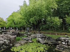-常熟方塔园