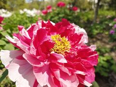 -江南大学(蠡湖校区)