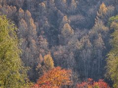 -玉渡山自然风景区
