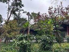 -秋霞圃