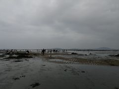 -仰口沙滩
