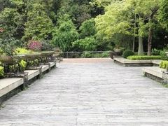 -大屏嶂森林公园