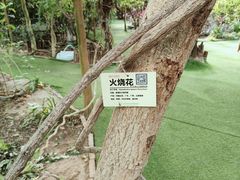 -呀路古热带植物园