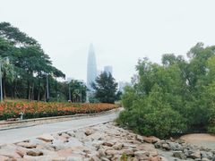 -深圳湾公园(南山区)