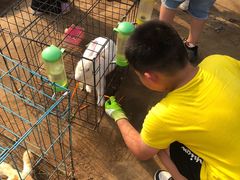 -前小桔亲子创意农场·草莓采摘·露营烧烤