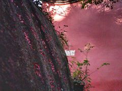 -乌山风景区