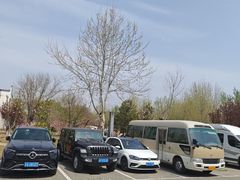 -瀛海足球主题公园