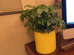 -广富林宰相府酒店·水云间