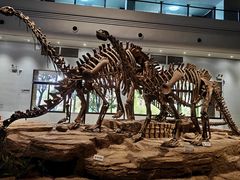 -自贡恐龙博物馆