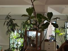 -一尺花园(安和花园店)