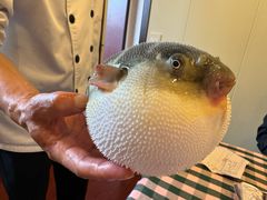 -长顺河豚馆(江洲东路)