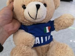 -米兰马尔彭萨国际机场