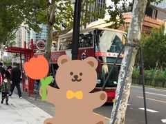 -BUS TOUR观光巴士