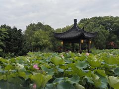 -丝绸小镇荻港古村