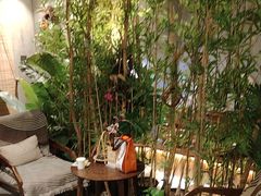 -施奈儿.洗头頭療.按摩SPA.采耳(上梅林店)