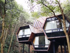 -杭州开元森泊度假乐园