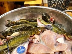 -小饕荟雅安贡椒鱼鲜馆(广福桥店)
