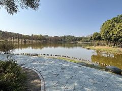 -东莞植物园