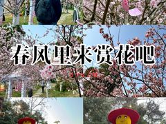 -求水山公园