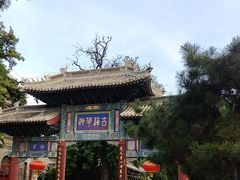 -莲池书院博物馆