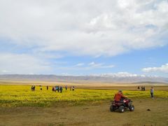 -青海湖国家重点风景名胜区