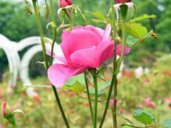 -昆山城市生态森林公园