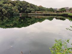 -杭州半山国家森林公园