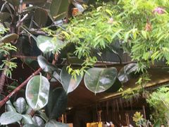 -都氏家DUSJOY(翡翠城店)