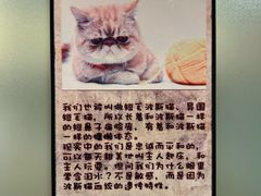 -猫咪博物馆(顶澳仔猫街店)