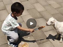 -西部长青自然儿童乐园