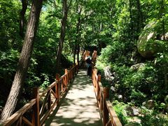 -大岭沟猕猴桃谷风景区