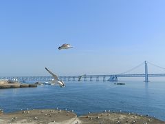 -星海广场