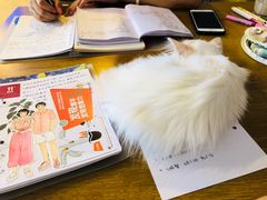 -平行世界·猫咖(首经贸店)