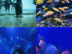 -威海华夏城景区